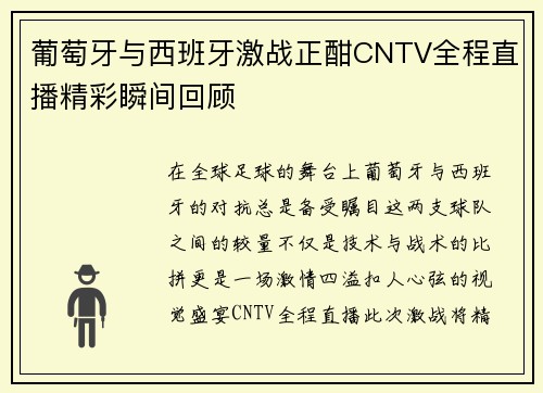 葡萄牙与西班牙激战正酣CNTV全程直播精彩瞬间回顾